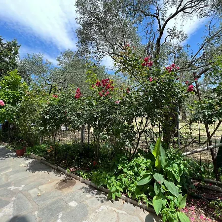 Apart-hotel Eleni - Town Thásos