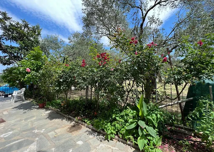 Aparthotel Eleni - Town Limenas (Thasos)